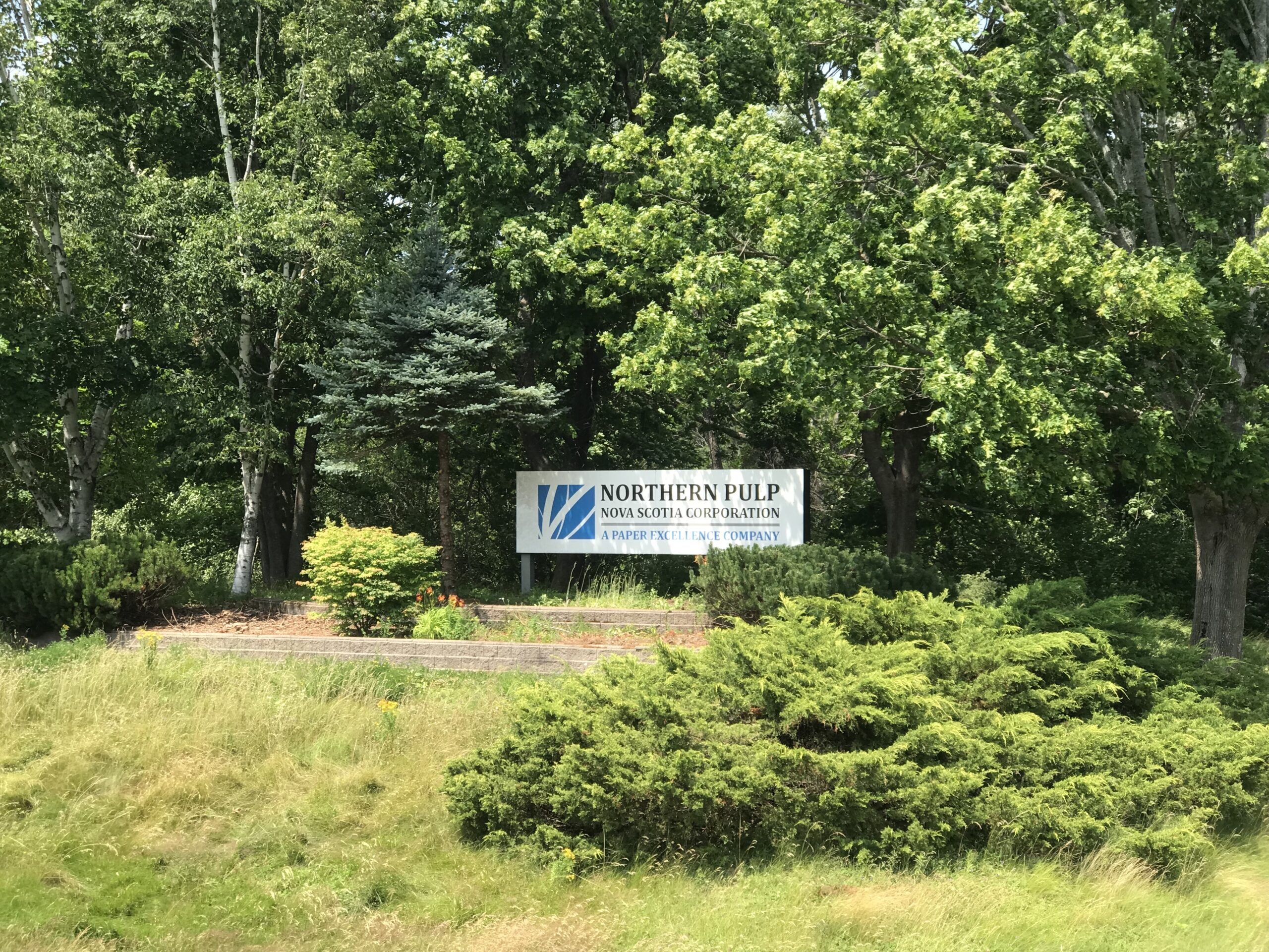 位于皮头县的北方纸浆厂的主入口的标志将其标识为一家造纸卓越公司。照片琼巴克斯特