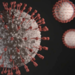 一个冠状病毒的模型，红色和白色，在黑色的背景上