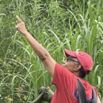 Evelyn White，穿着红色的帽子和T恤，指向她在她在她郁郁葱葱的绿色后院花园里看到的基本。