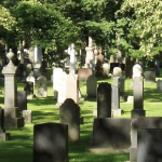 夏天营山墓地的墓碑在斑驳的阳光下。