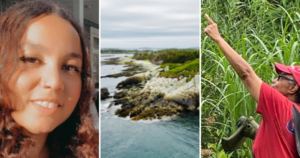 三张照片:两张照片是黑人女性沙特尔·里昂和伊芙琳·怀特，一张是猫头鹰头海岸线的航拍照片。