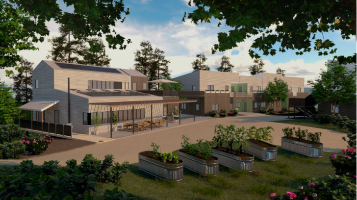 前景中带有凸起花园床的房屋效果图。