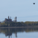 北部果肉反射在静水中