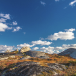 岩石嶙峋的荒原上，覆盖着一层赤褐色的灌木，上面是深蓝色的天空