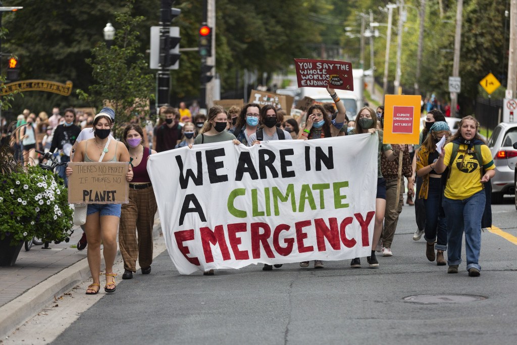 数百人在城市街道上游行，横幅上写着“我们正处于气候紧急状态”