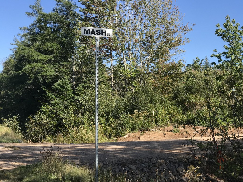 西湾山Golden Lake Estates的Mash Lane (Mashaghati的昵称)标牌的照片，所有8件拍品都在这里售出。该标识位于一片长满常青树的土路旁。