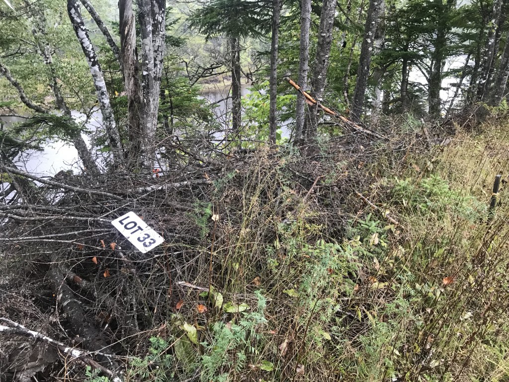 加拿大先锋地产第33号地段，下游河居民。第33号地段的标志坐落在一些枯死的灌木丛上。图片:Joan Baxter