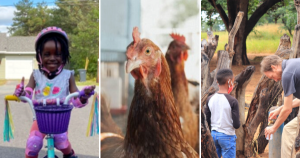 三张照片。一个年轻的黑人女孩的6,wearing a pink helmet and kneepads, smiling happily on her bike. A russet-coloured hen looks quizzically at the camera. A white man and boy get a water sample from a simple concrete fountain in Africa.