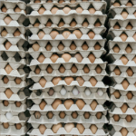 米色硬纸板箱里有一大堆棕色的鸡蛋(还有几只白色的)。