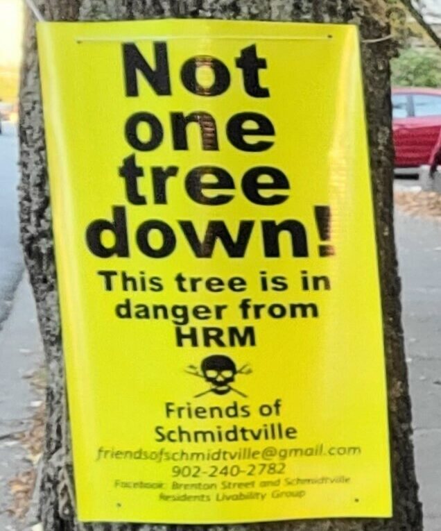 亮黄色的横幅挂在树上。上面有一个骷髅和交叉的骨头，上面写着:“一棵树也不能倒!这棵树正处于人力资源管理的危险之中。Schmidtville的朋友。”下面是小组的联系信息。