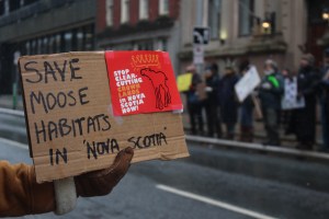 一个写着拯救加拿大新斯科舍省驼鹿栖息地的棕色纸板牌子。