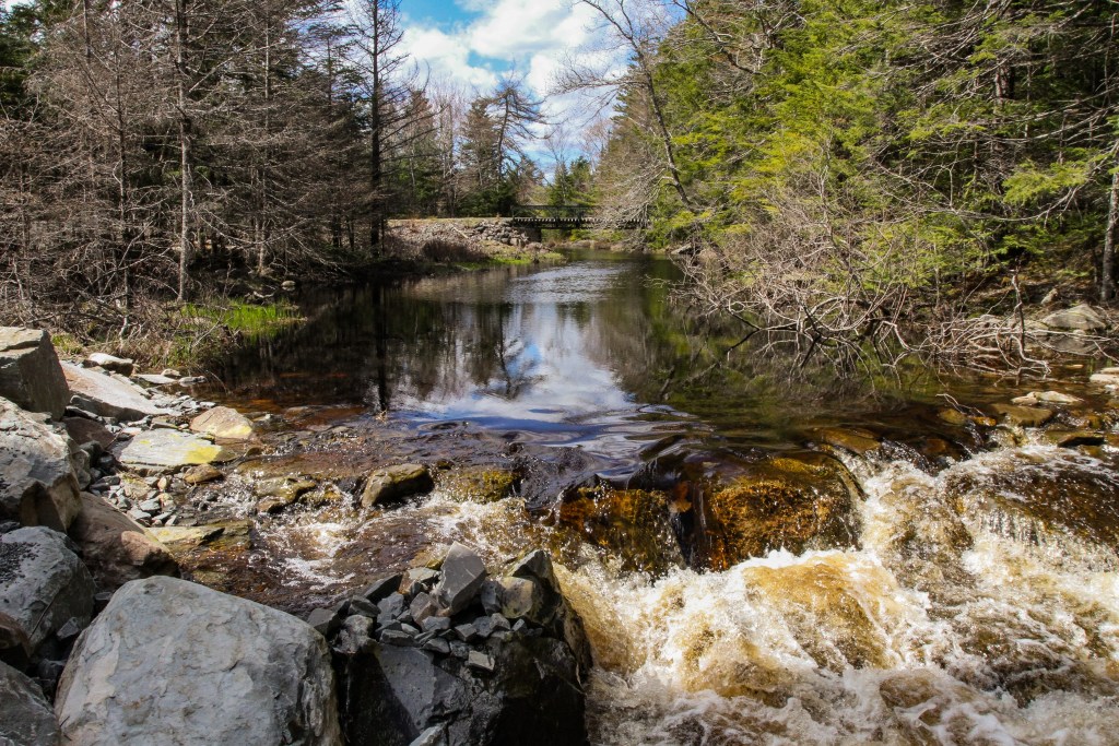 基拉格河是西河片港分水岭的重要组成部分，是重要的野生大西洋鲑鱼栖息地，这张照片显示的基拉格河距离拟议中的海狸坝露天金矿遗址仅一石之隔。图片:SImon Ryder-Burbidge