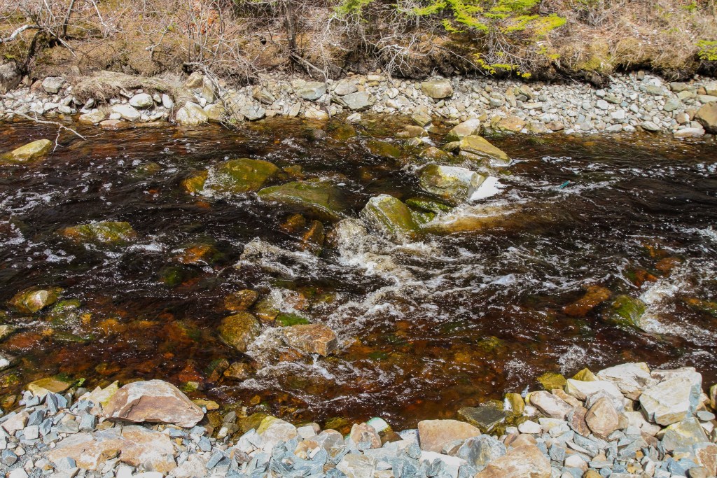 拟议中的比弗水坝(Beaver Dam)矿山下游的基拉格河(Killag River)上的小而原始的激流是野生大西洋鲑鱼的重要分水岭的一部分。照片Simon Ryder-Burbidge