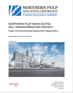 新斯科舍省北方纸浆注册文件的封面展示了一个现代纸浆厂的未来主义形象，几乎没有排放和大量的蓝天。