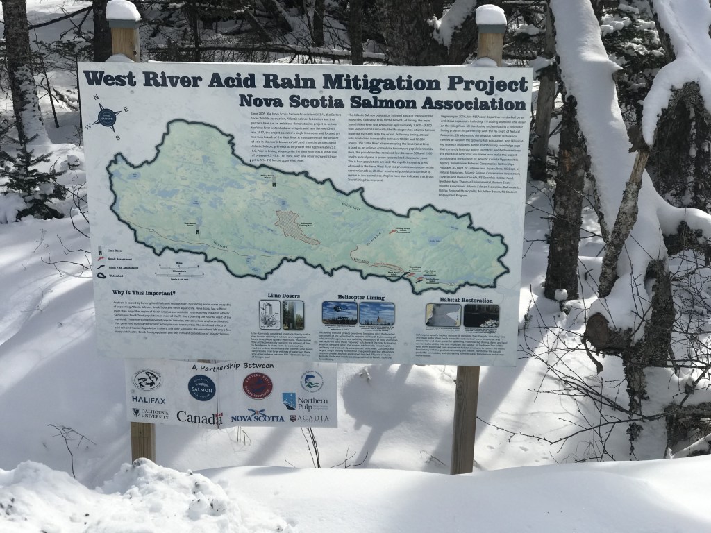 西河酸雨缓解项目的招牌展示了基拉格河作为西河流域的一部分，作为新斯科舍省鲑鱼协会项目的一部分，该项目正在进行石灰化，以恢复河流栖息地和野生鲑鱼种群。图片:Joan Baxter