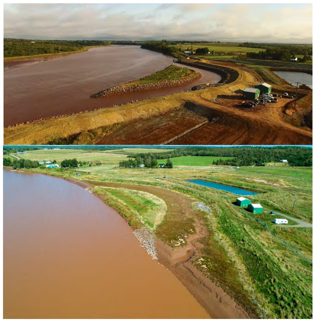 两张河边草地的照片