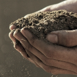 一个捧着一把土的男人的手