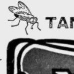 黑白广告中苍蝇的插图的特写