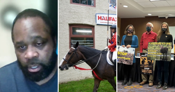 本周故事中的三张照片：一个在Zoom会议中的黑人，一个年轻女孩在哈利法克斯·兰克斯院子里骑马，三个人在抗议中