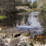 A stream flows over rocks in a wooded area