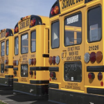 三辆橙色校车的后端停放了很多