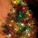 A small Christmas tree with colourful lights