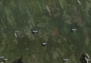 map showing small boundary of Beals Brook cut, surrounded by approved cuts and revious cuts