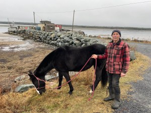 一个人牵着一匹拴在铅绳上的马站在路边。马在吃草，男人对着镜头微笑。