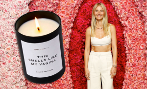 格温妮丝·帕特洛身穿白色衣服，站在她的阴道壁前，阴道壁由浅粉色、中粉色和红玫瑰组成，呈同心圆状。在这张照片上还有一张她的蜡烛照片，上面写着“这闻起来像我的阴道”。