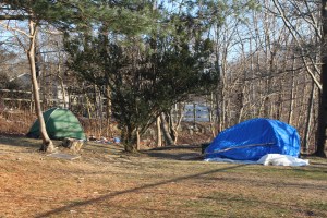 两个帐篷搭在公园里树木繁茂的角落里。