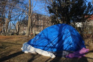 一个用防水布盖着的帐篷，旁边是公园角落里的一棵小树，靠近一座砖砌的大学大楼。