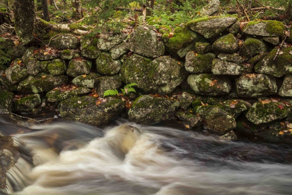 可以看到水顺着小溪流淌。相机的快门速度很慢，显示了水的运动。背景中有一堵长满青苔的老石墙，墙后长着树木。