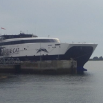 在一个雾蒙蒙的夏日，CAT渡船停靠在码头上。