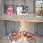 社区食品储藏室几乎空无一物的架子上放着一些食品