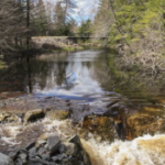 从河中游的一小块岩石区向上游望去，基拉格河的景色