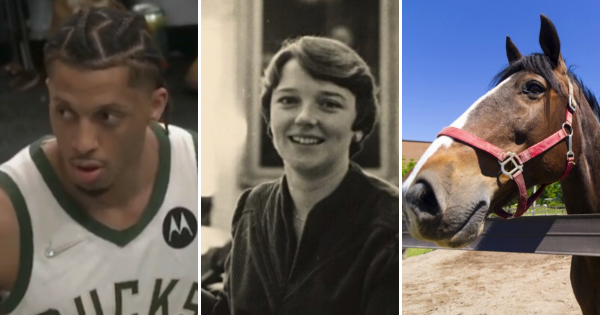 三张照片:Lindell Wigginton，一个打篮球的黑人，Alexa McDonough，一个白人女政客，和一匹从栅栏外看的棕色马。