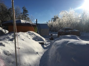 白天被雪覆盖的露营地。两顶帐篷旁边停着一辆卡车，周围都是树。前景是一条被铲开的小走道。地面上似乎有2-3英尺厚的积雪