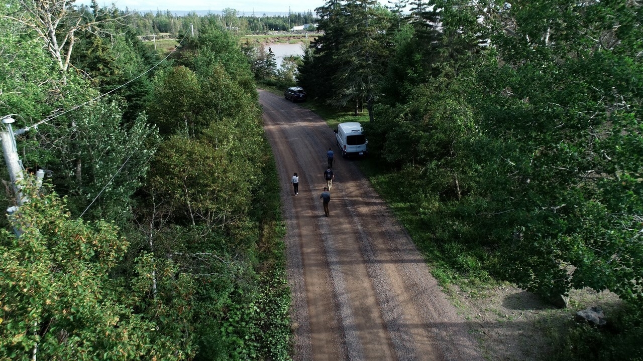 四个人走在一条绿树成荫的土路上。一辆白色货车停在路边。