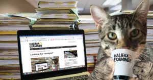 多诺万是一只绿眼睛的灰虎斑猫，他正从他的考官杯里喝水，而他身后是他的笔记本电脑，上面显示着哈利法克斯考官网站。在笔记本电脑的后面是几沓资料和文件。