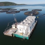 A boat at a fish farm