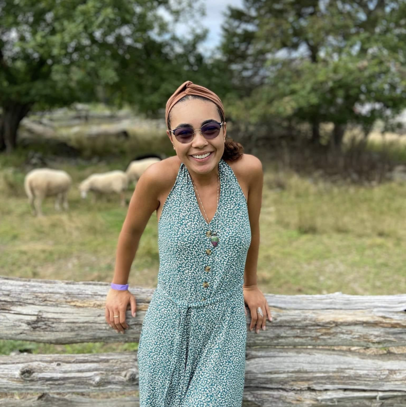 在绿色和白色礼服和太阳镜的黑人夫人在林木德篱芭，草树和绵羊前面微笑在背景中弄脏了