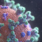 生成的冠状病毒图像的特写