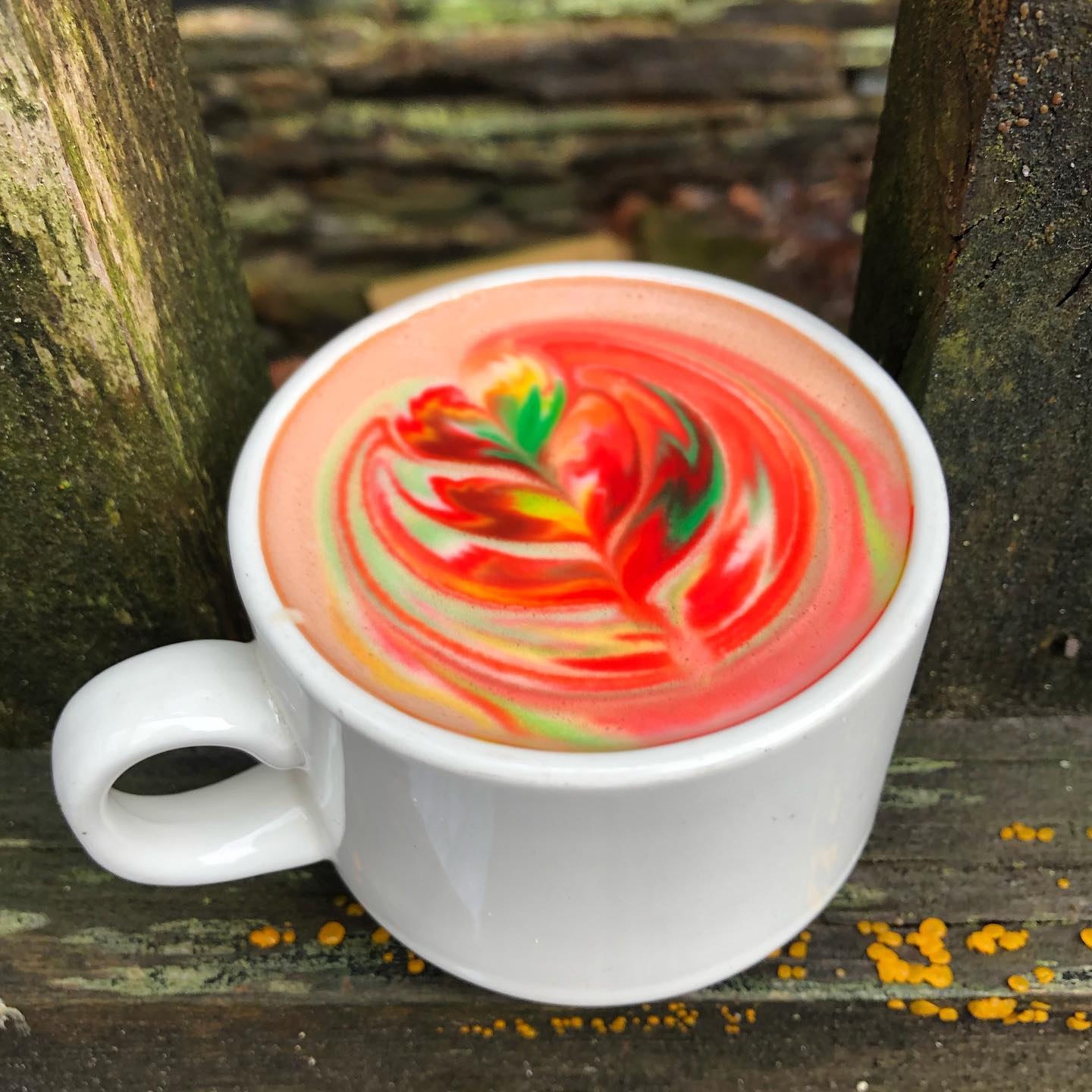 白色咖啡杯，在拿铁牛奶中有非常鲜艳的花漩涡图案。