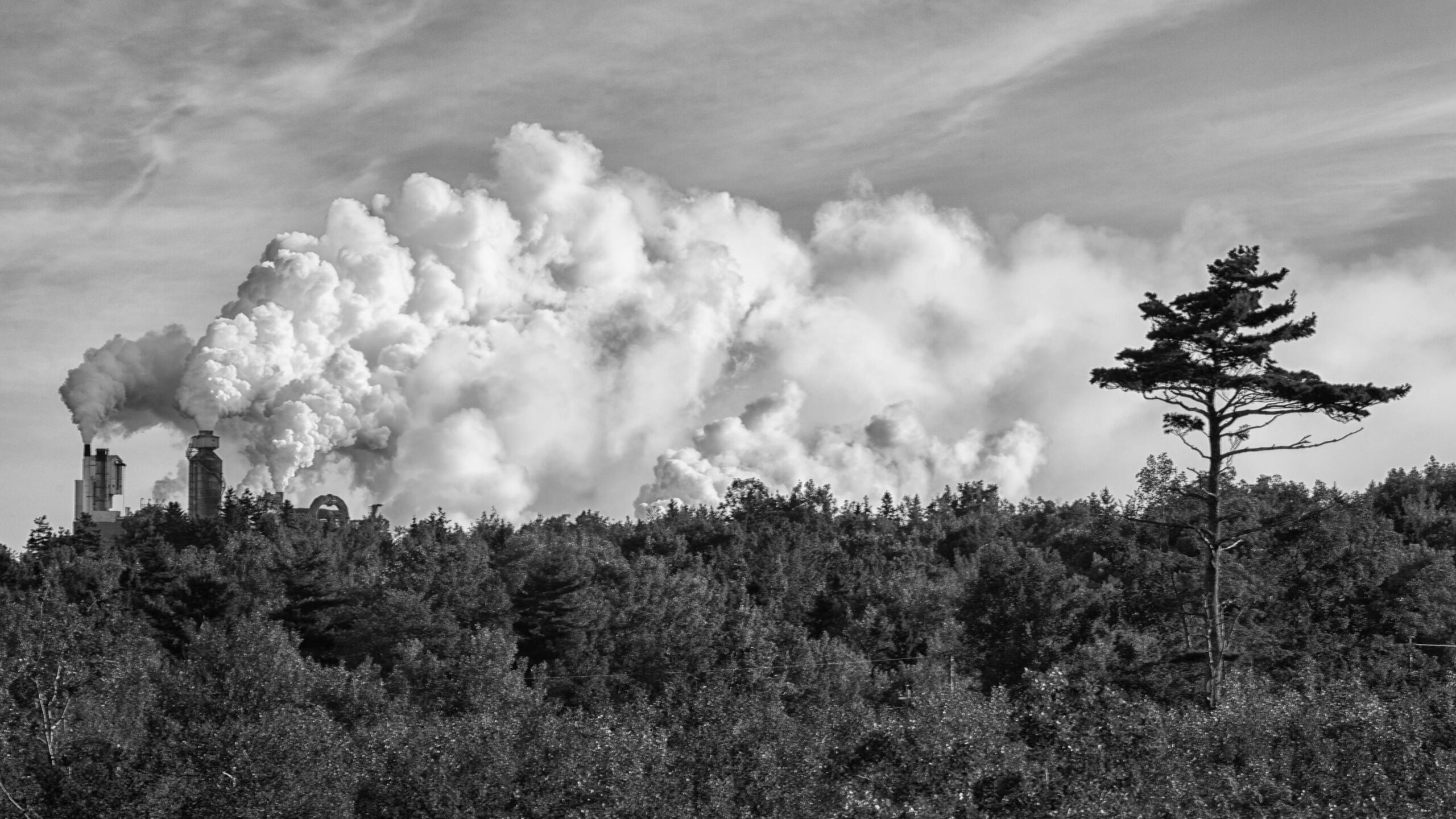 这张由格里·法雷尔拍摄的黑白照片显示了几年前北方纸浆厂关闭并进入休眠状态之前排放的大量空气。