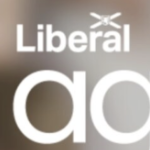 宣传形象上的“自由派”二字