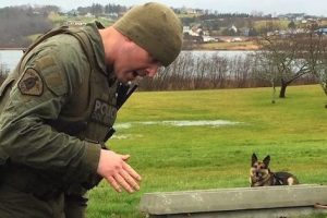 一个带着狗的男人