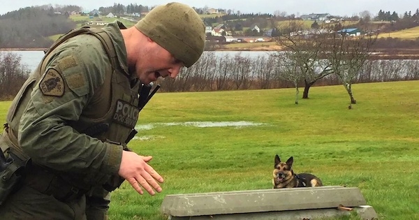 一个带着狗的男人