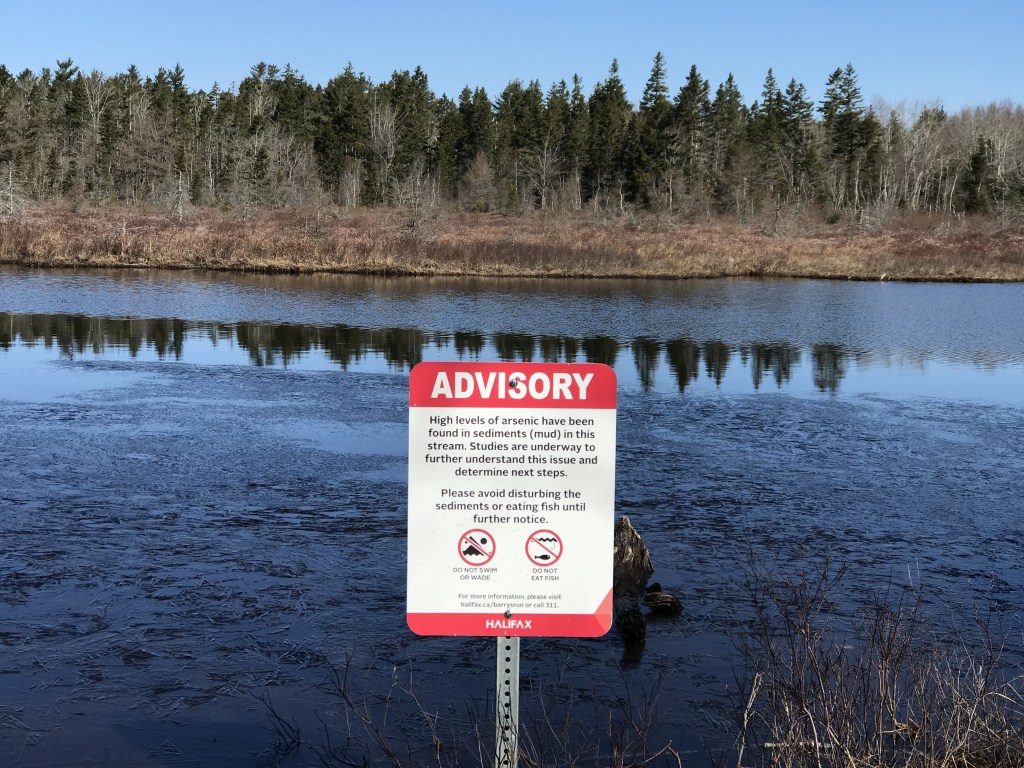 Barry's Run位于华莱士港，是一个像池塘一样的沼泽，以森林为背景，人力资源管理公司在巴里湾的岸边贴了一块“建议”的牌子，警告人们不要在这里的水里游泳、涉水或钓鱼。照片:Joan Baxter
