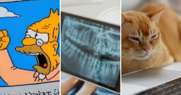 三张照片：爷爷辛普森的动画片在云中大喊大叫;牙科X射线;看膝上型计算机屏幕的困猫。