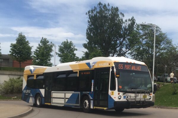 在一个阳光明媚的日子里，天空中有几缕云，可以看到一辆公共汽车。这辆巴士主要是白色的，有黄色和蓝色的图形，后面的挡车板上有一个哈利法克斯运输公司的标志。在前面，一个LED标志写着“55港华莱士。”公共汽车后面有绿色的树。